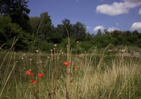 Centro Uno meadow exterior